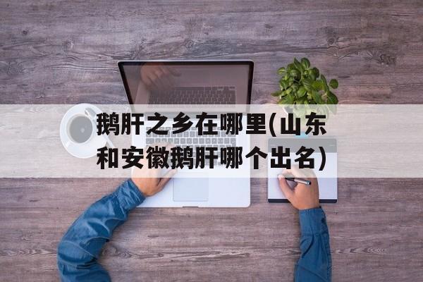 鹅肝之乡在哪里(山东和安徽鹅肝哪个出名)-第1张图片-