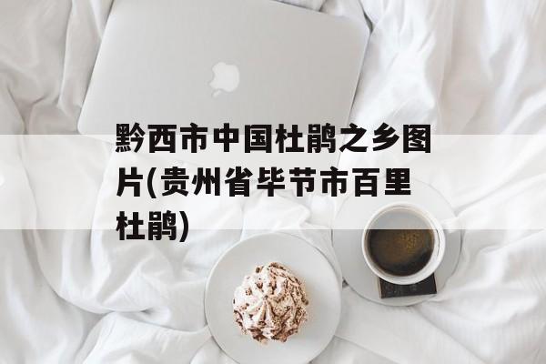 黔西市中国杜鹃之乡图片(贵州省毕节市百里杜鹃)-第1张图片-