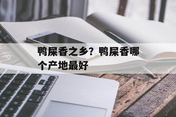 鸭屎香之乡？鸭屎香哪个产地最好-第1张图片-