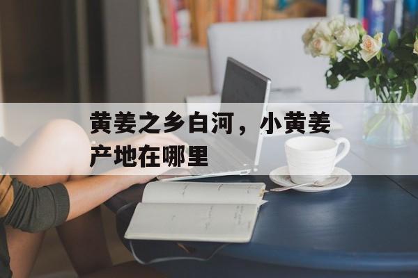 黄姜之乡白河，小黄姜产地在哪里-第1张图片-