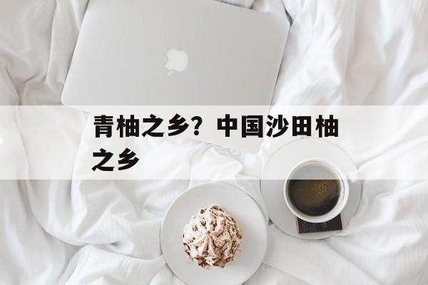青柚之乡？中国沙田柚之乡-第1张图片-