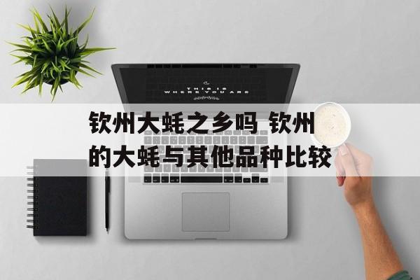 钦州大蚝之乡吗 钦州的大蚝与其他品种比较-第1张图片-