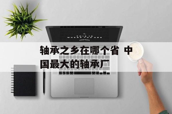 轴承之乡在哪个省 中国最大的轴承厂-第1张图片-