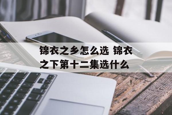 锦衣之乡怎么选 锦衣之下第十二集选什么-第1张图片-