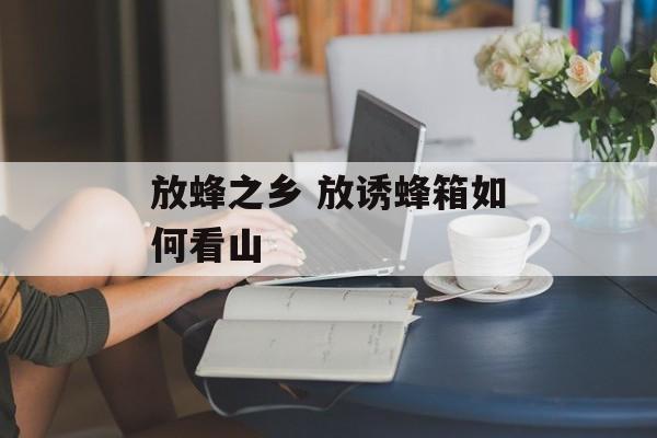 放蜂之乡 放诱蜂箱如何看山-第1张图片-