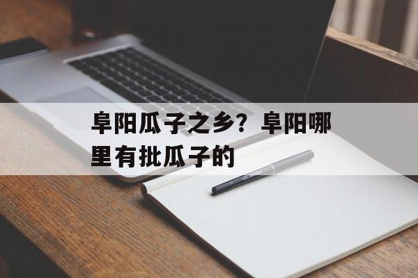 阜阳瓜子之乡？阜阳哪里有批瓜子的-第1张图片-
