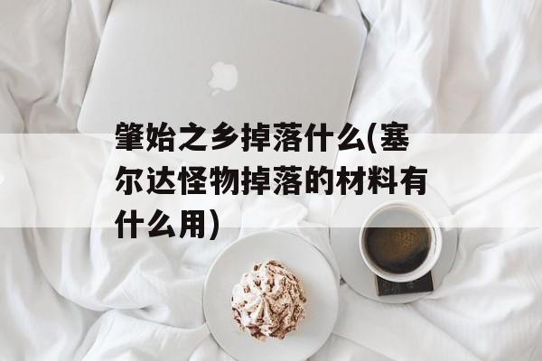 肇始之乡掉落什么(塞尔达怪物掉落的材料有什么用)-第1张图片-