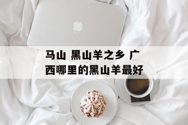 马山 黑山羊之乡 广西哪里的黑山羊最好-第1张图片-