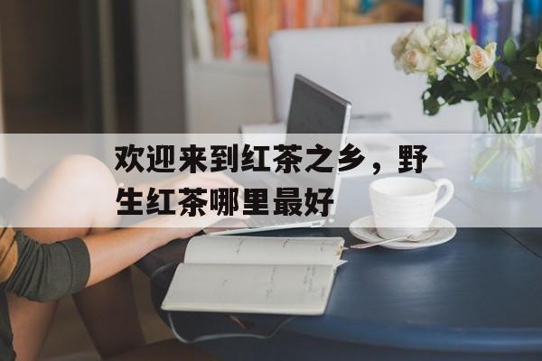 欢迎来到红茶之乡，野生红茶哪里最好-第1张图片-