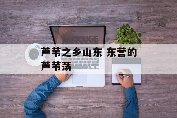 芦苇之乡山东 东营的芦苇荡-第1张图片-