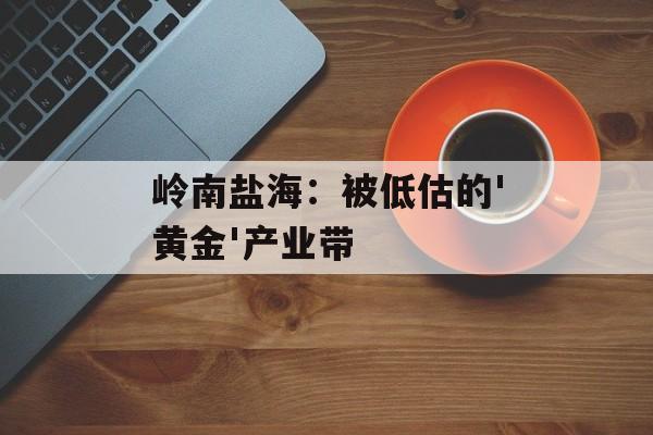 岭南盐海:被低估的'黄金'产业带-第1张图片- 岭南盐海:被低估的'黄金'产业带-第1张图片-